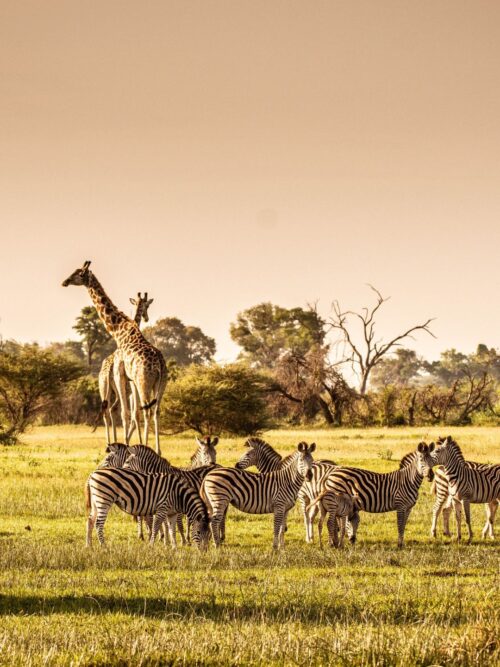 ÁFRICA